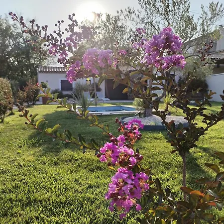 Holiday home Maison En Campagne Avignon